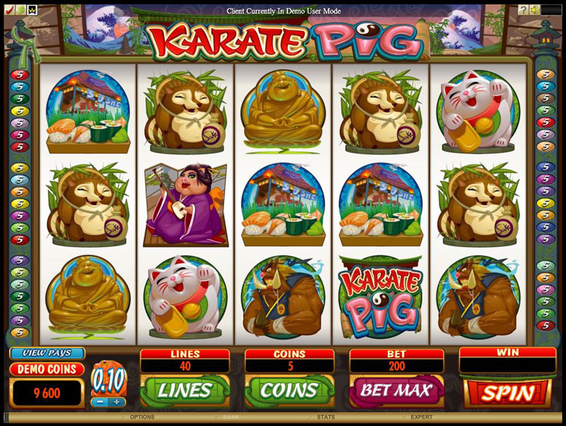 Karate Pig gokmachine